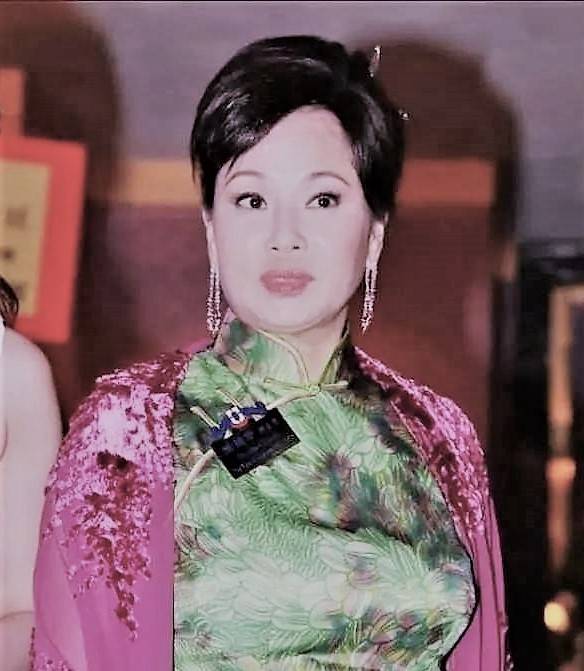 三太陈婉珍的宫心计背叛黎婉华假意劝和暗中挑唆二房斗四房