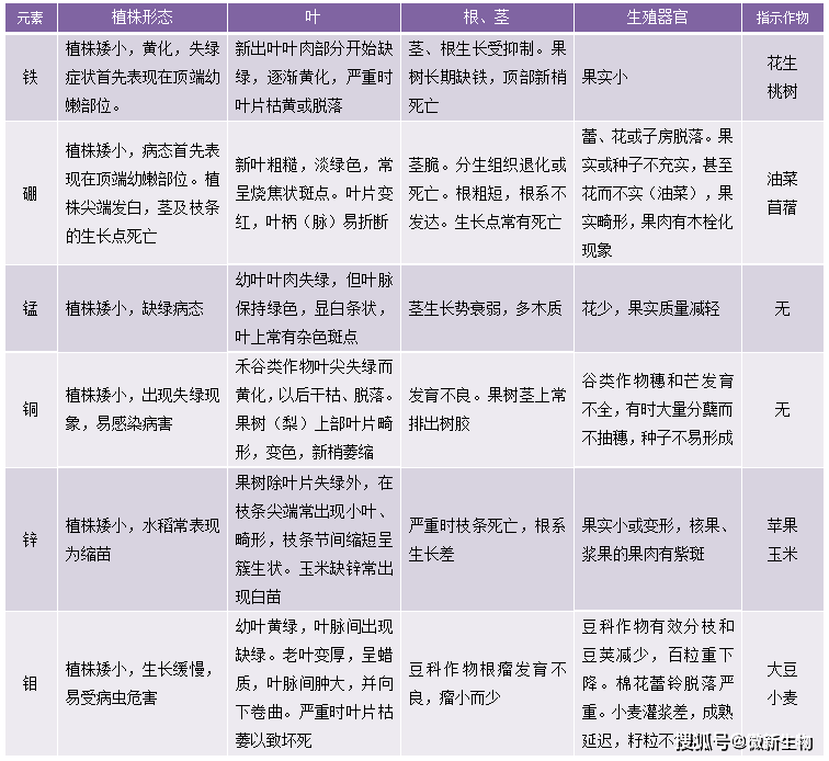 植物缺素口诀图片