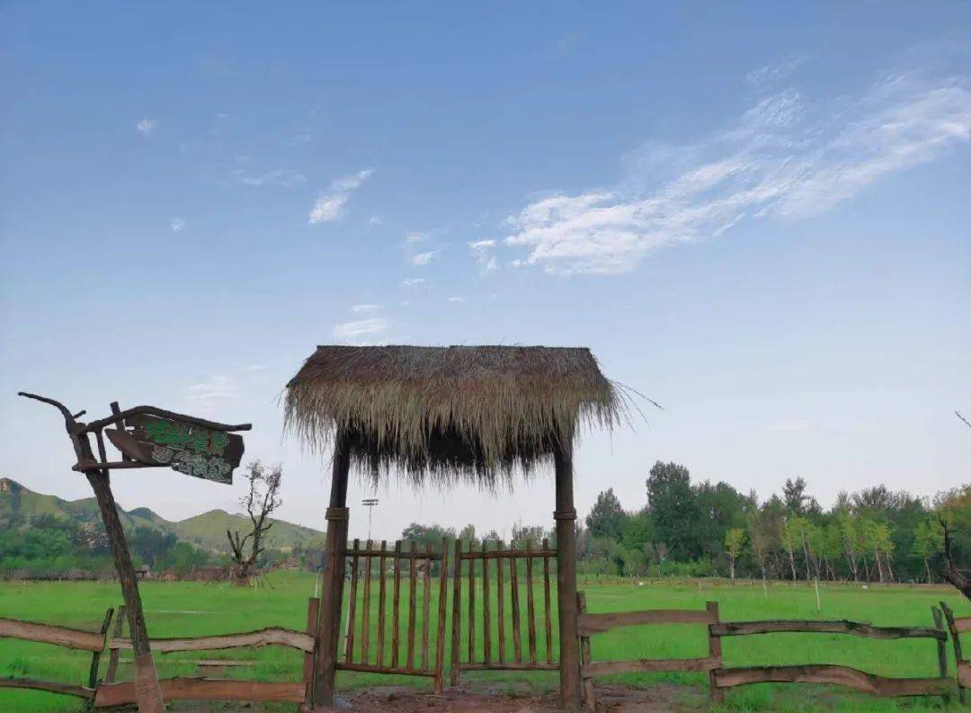 因疫新生||首届大棒子农场湿地垂钓节8月8日扬杆开钓