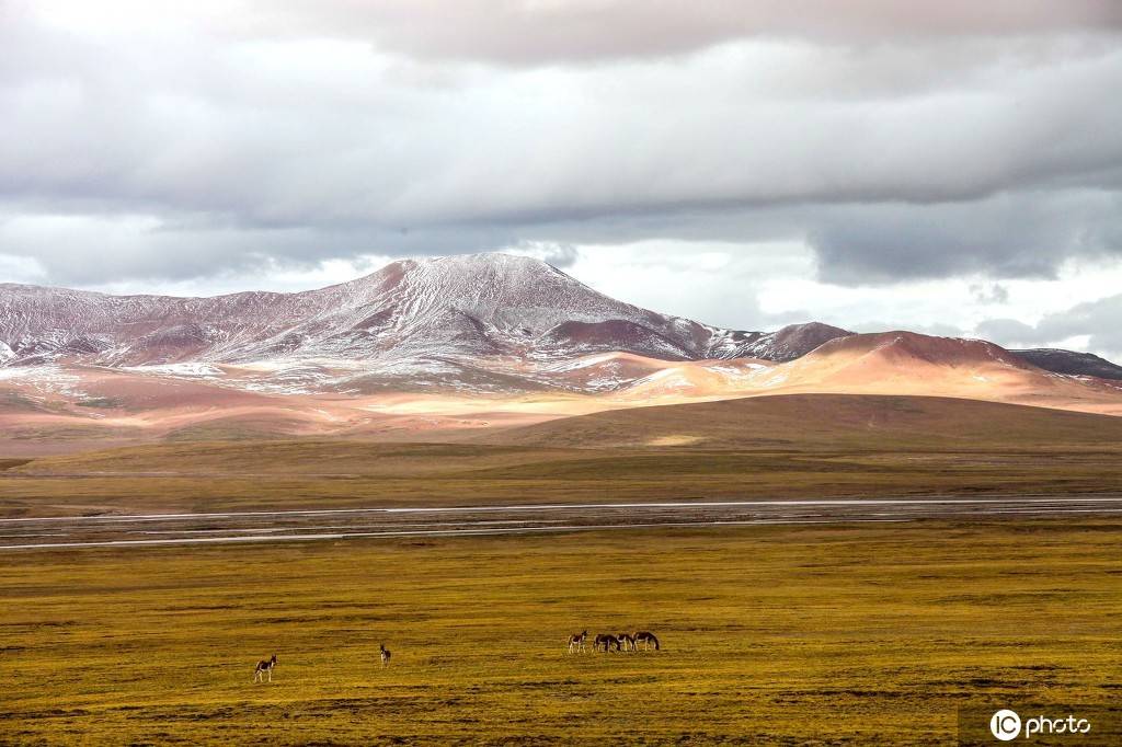 可可西里中国最伟大的荒野
