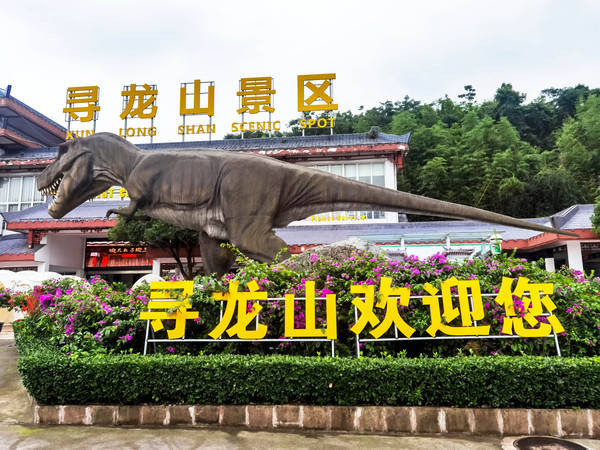 绵阳寻龙山景区门票图片