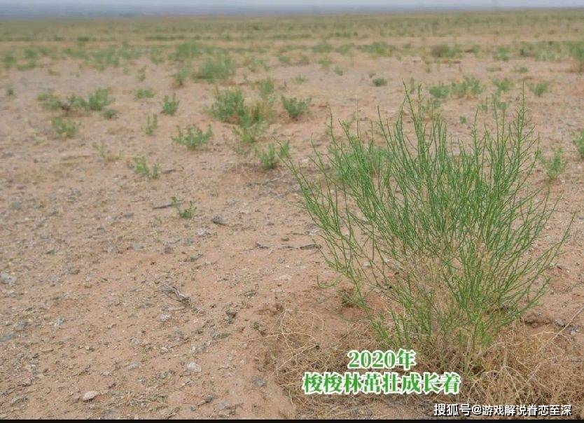 原创迷你世界居然有一次没被mc玩家喷果然爱心传达上应该给予支持