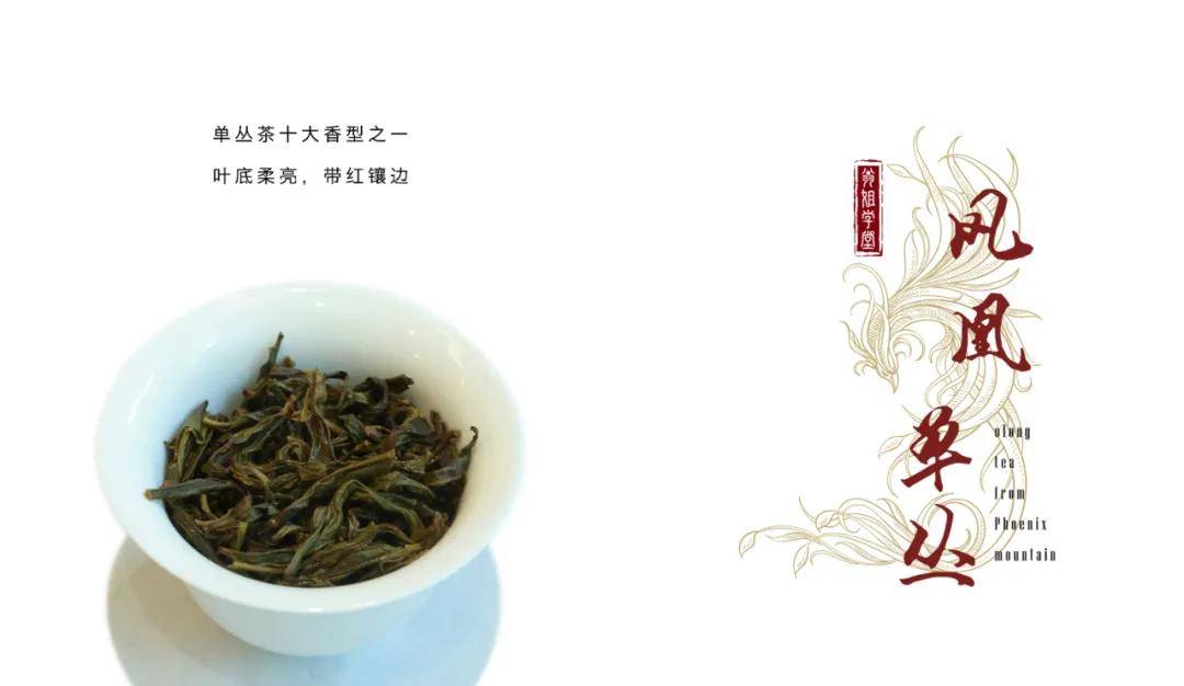 凤凰单丛——鸭屎香,惊艳您的味蕾!