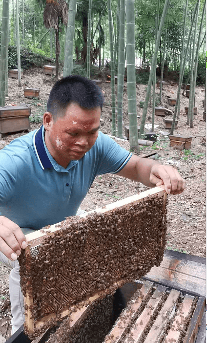 四季追花人万里扶贫路-记湘嗡嗡养蜂扶贫之路