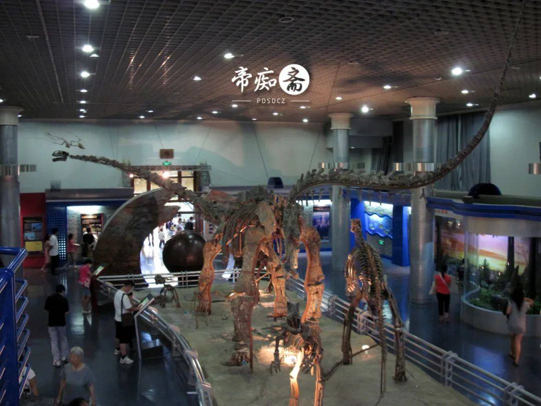 都市丛林历险记——游北京自然博物馆