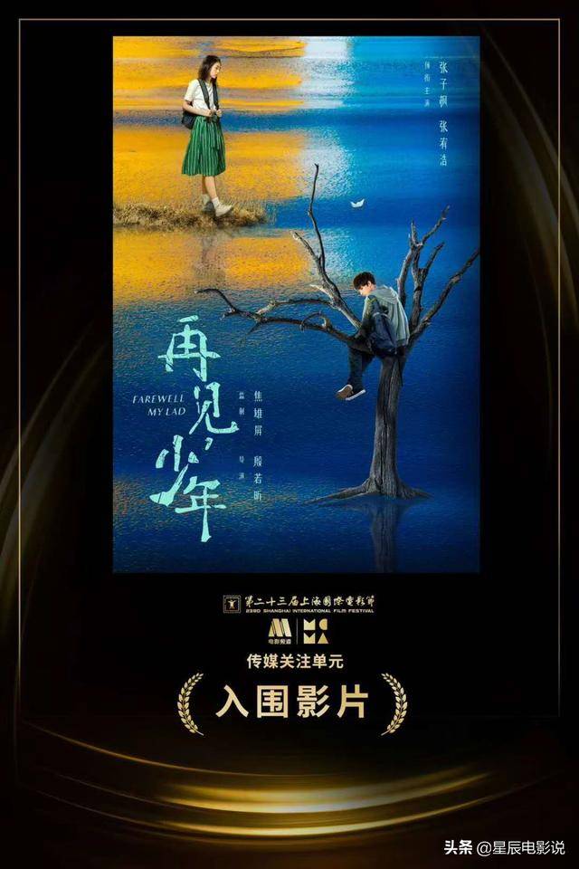 上海电影节获奖的《再见,少年》来了,你是否对影片怀着期待?