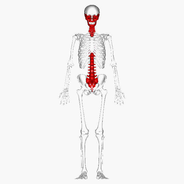 640_640gif 动态图 动图