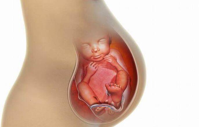 孕36周后胎儿姿势图图片