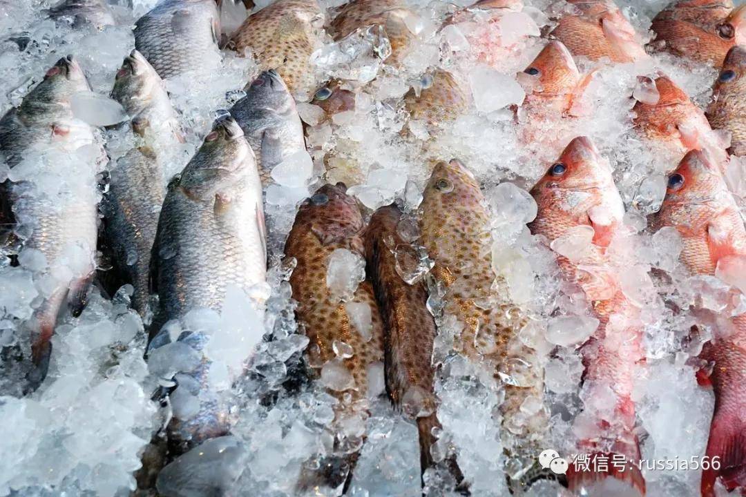 俄罗斯在世界上的5大流行产品