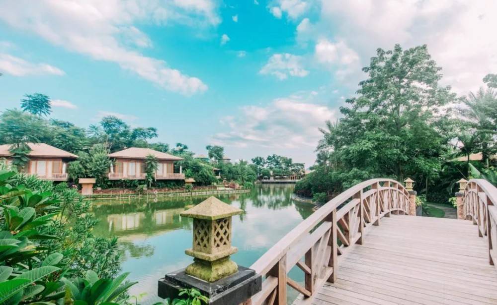 唐宋花仙谷野奢,丛林花舍客房,四季皆是景,鸟喧花静,享受隐居山野轻奢