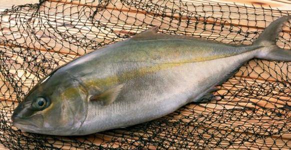 改善男性健康的小妙招