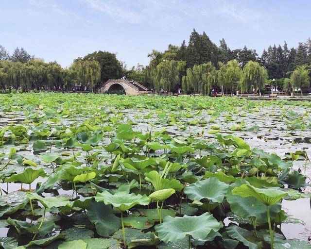 翠湖公園