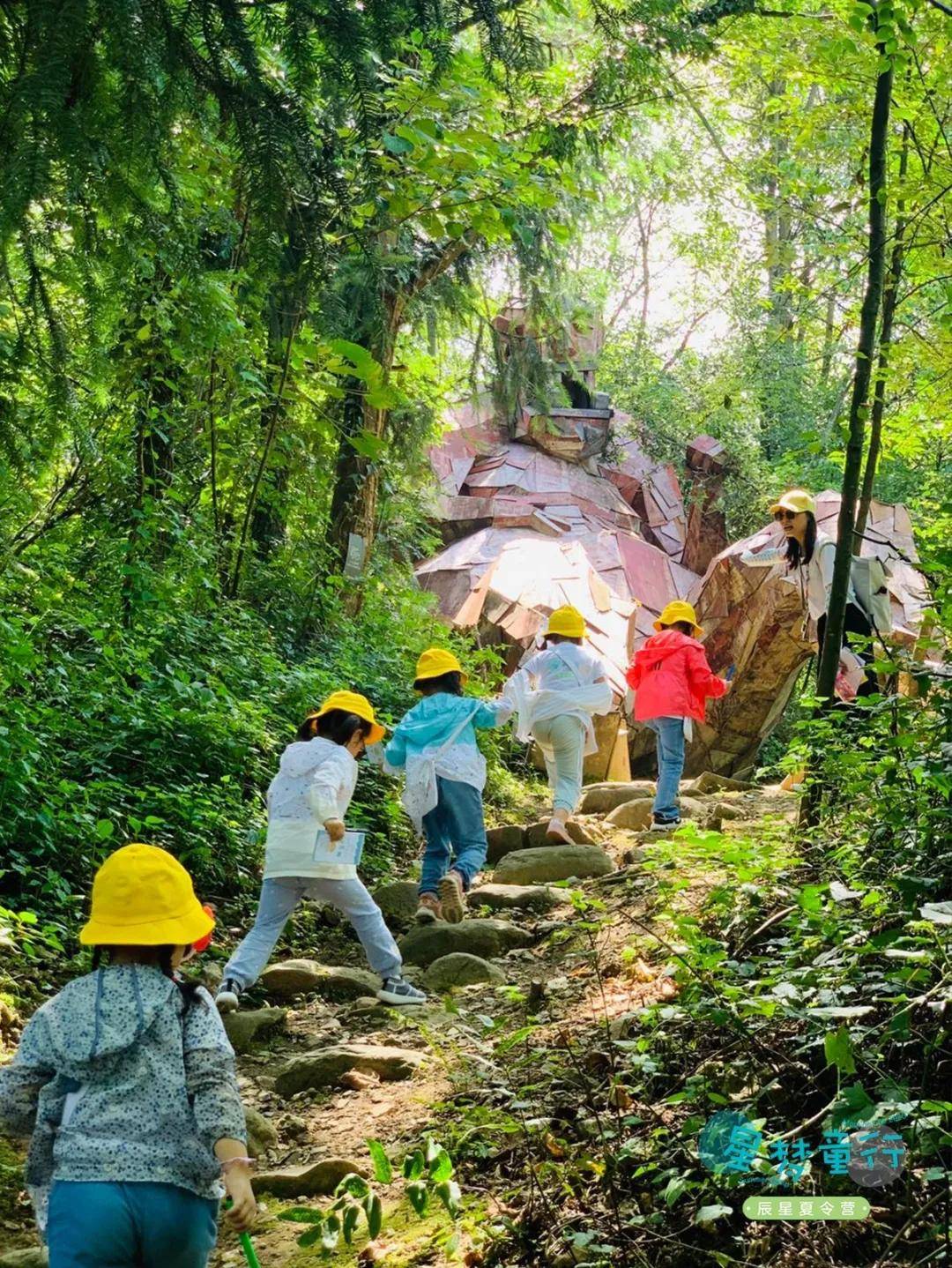 辰星向阳花们的懒坝艺术之旅