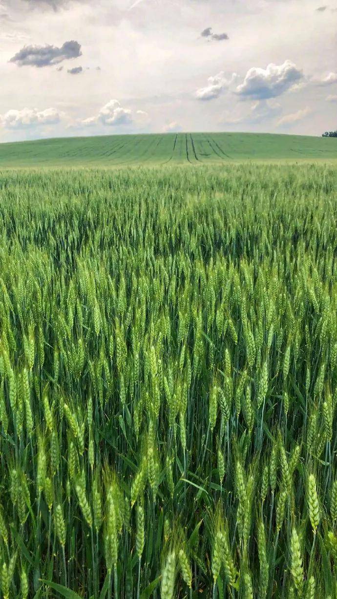 图片[41] - 【xizi被窝段子20200818】人生的旅程就是这样：用大把时间迷茫 在几个瞬间成长 - xizi