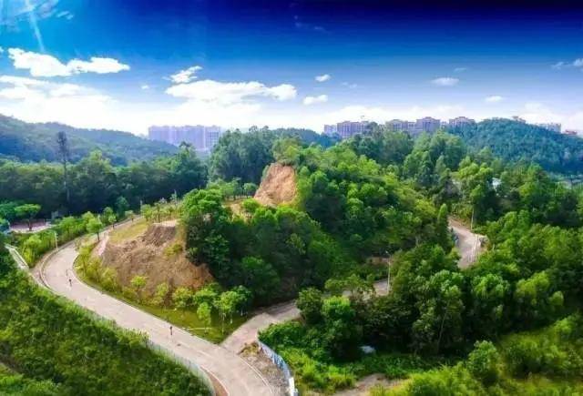 惠州黄沙洞乡村绿道图片
