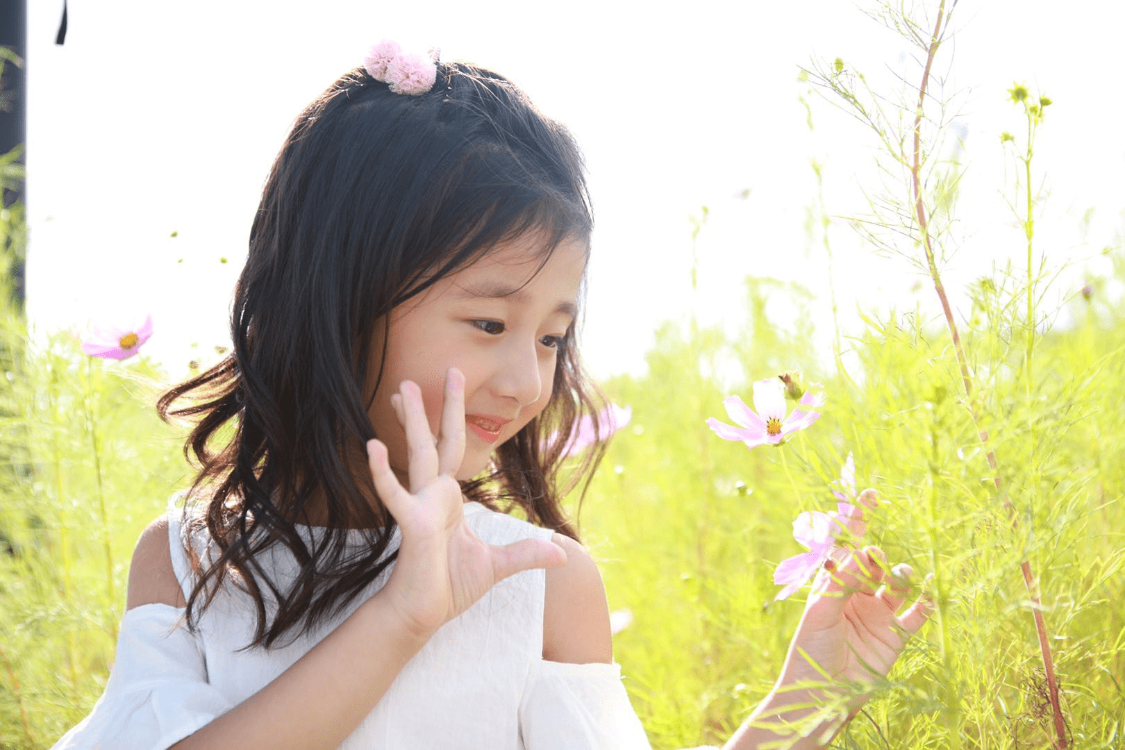 "2020 快乐阳光 辽吉黑赛区"郭芸涵 —组合组及流行组人气亚军_大赛