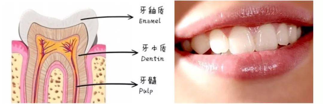 越健康的