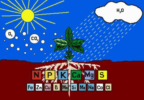 告急我国一半的土壤缺中微量元素别再只上氮磷钾了