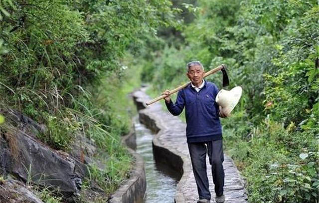 贵州一老人用36年时间,用铁锤在悬崖凿出一条天渠