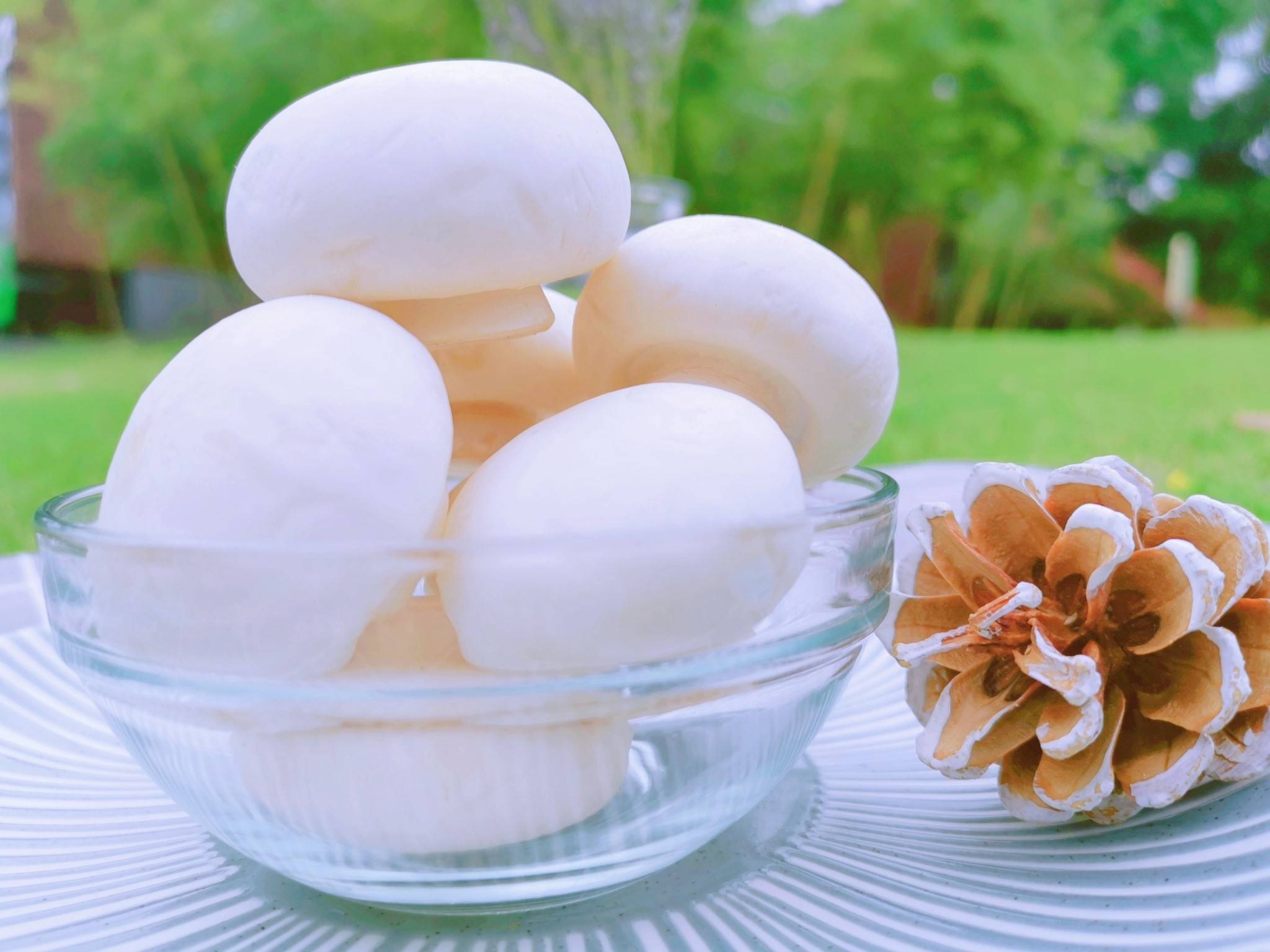 润敬思州 领潮而起 ——贵润双孢菇芽孢初放 信念所向_手机搜狐网