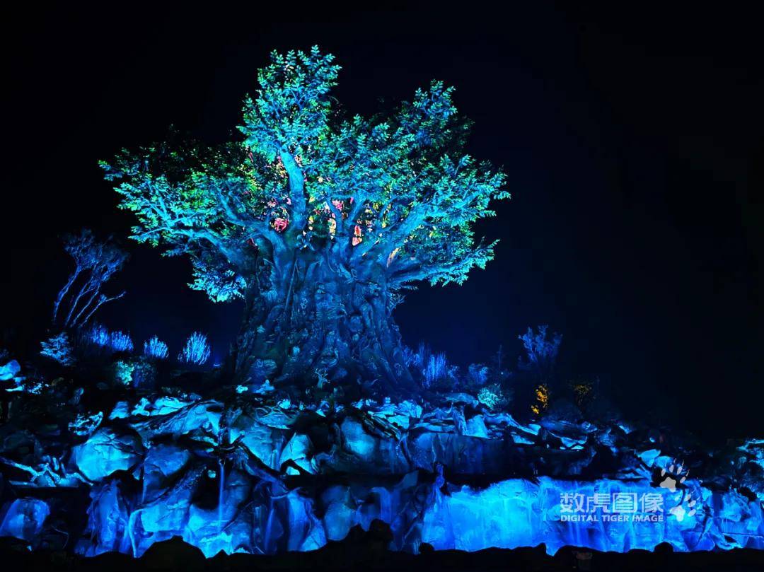 大型巨树灯光投影秀带你穿越"奇林秘境"