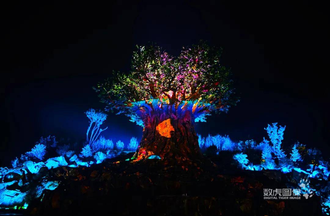 大型巨树灯光投影秀带你穿越"奇林秘境"