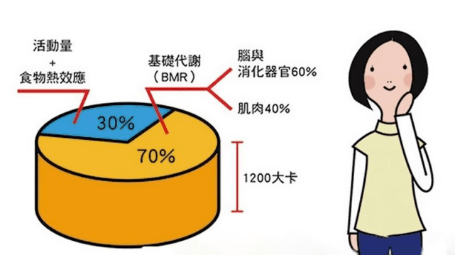 教你几招,提高基础代谢,让你躺着就能瘦!