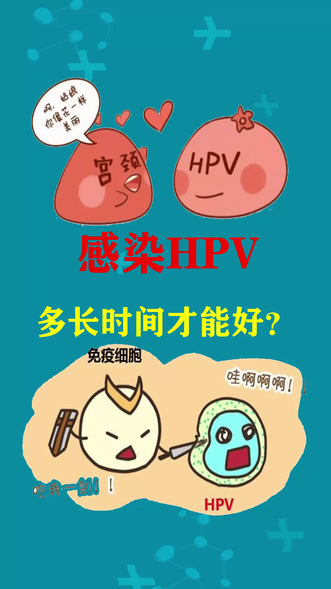 感染hpv多长时间才能好
