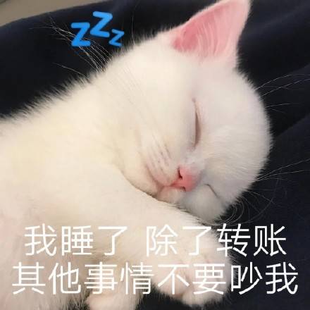 可爱猫咪表情包