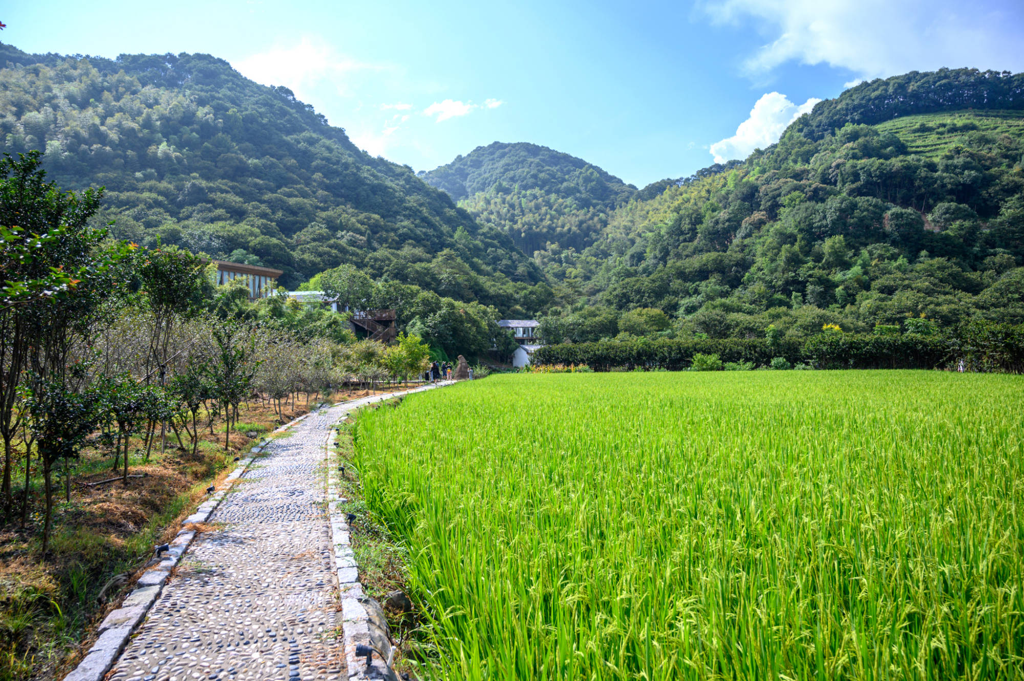 上虞綠水青山間的最美民宿前身為荒廢的村莊如今美如世外桃源