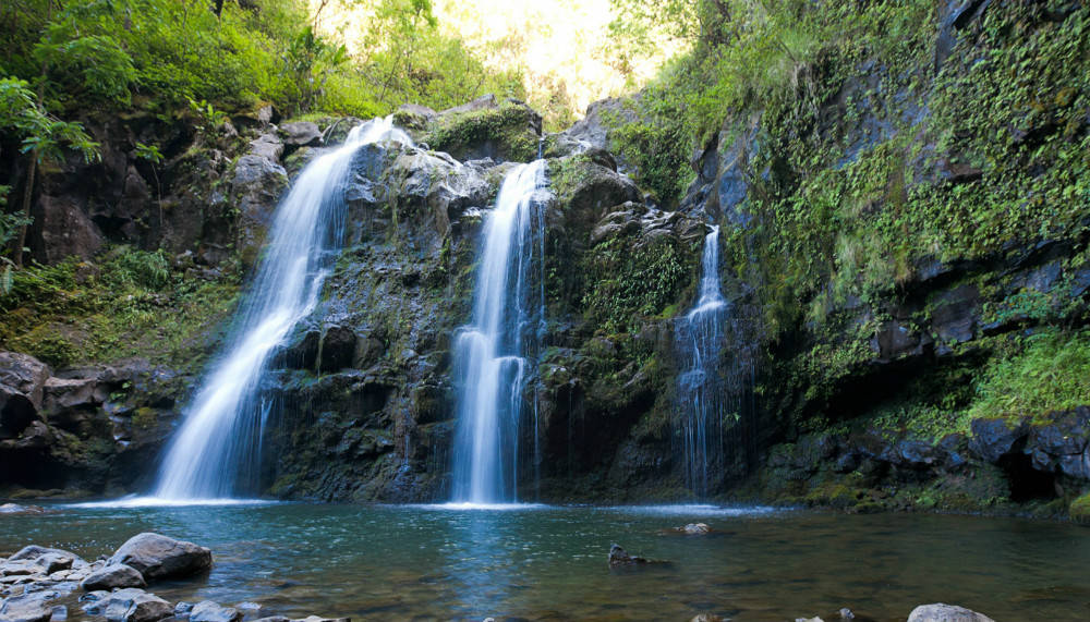 熟視造句和解釋 熟視的例句有哪些 小孩子點讀 互動頭條