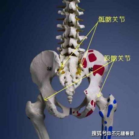 丕元正骨柔筋法骶髂關節正骨手法