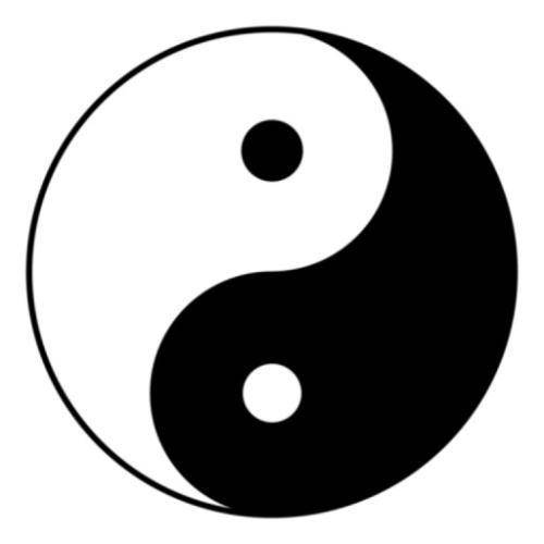 相克之中变化,通常体现为与阴阳性质相合的两种看似互相矛盾的事物,其