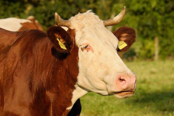 原创属牛人:无论如何也别抛弃以下3个人,他们是你一辈子的贵人!