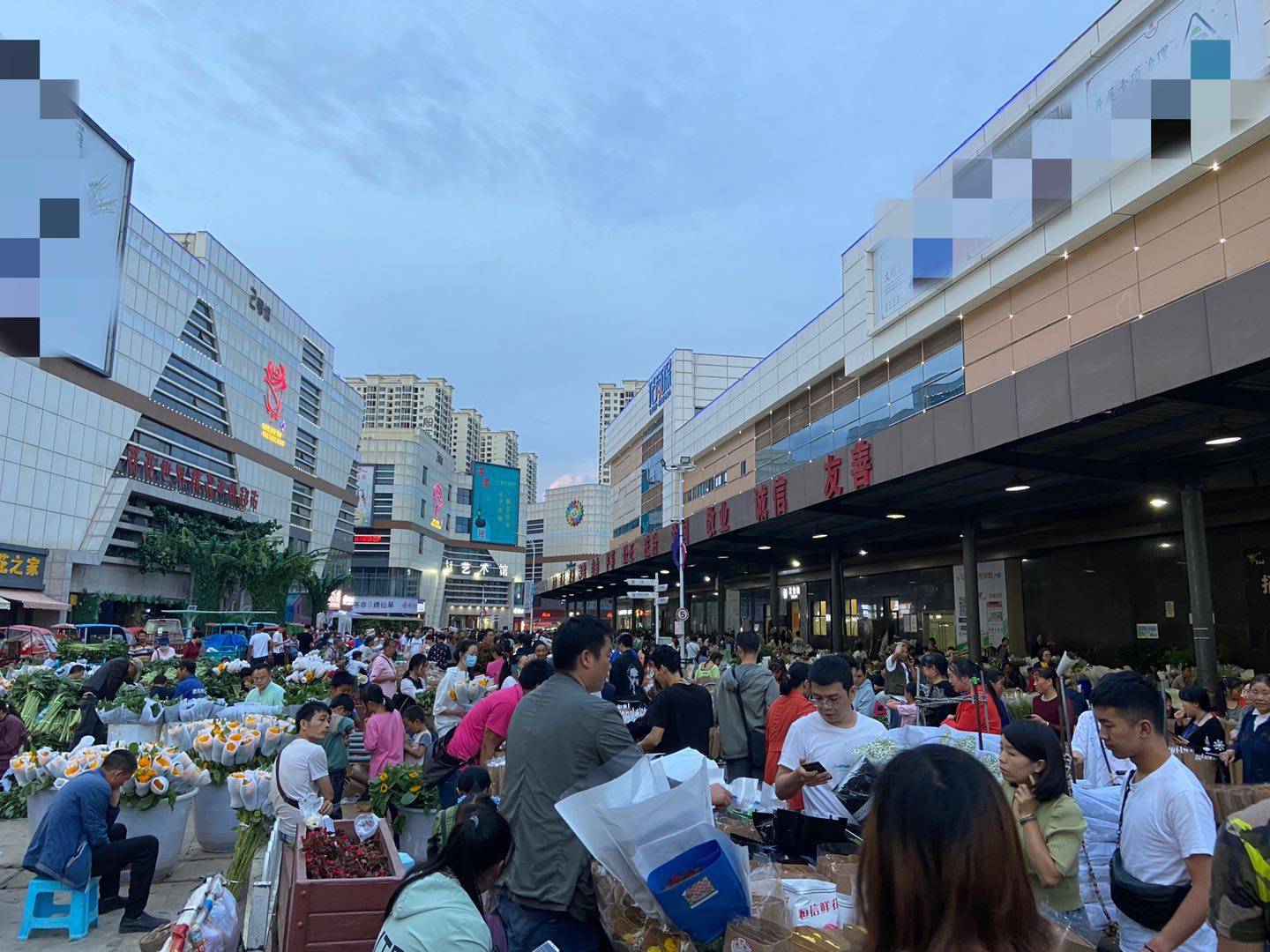 雲南十八怪,鮮花論斤賣,昆明斗南花卉市場賣鮮花猶如賣青菜一般