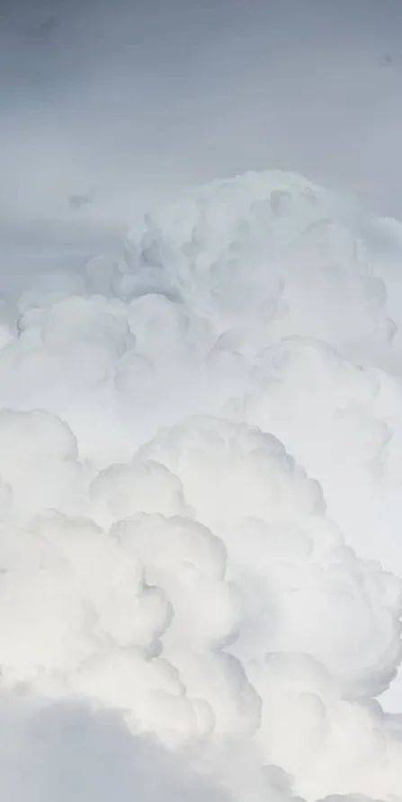 白色水晶的梦幻婚礼光线营造的灵动氛围