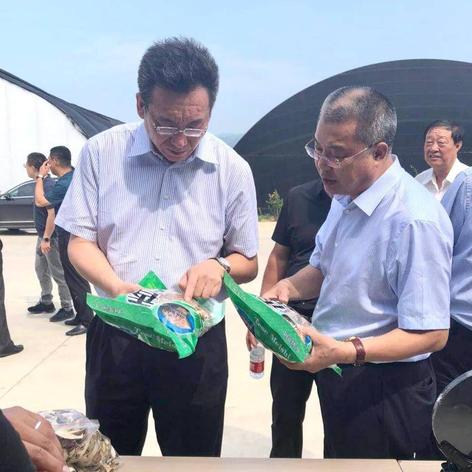 市长曹佐金,市委常委,副市长黄有勇,副市长曹静出席活动.