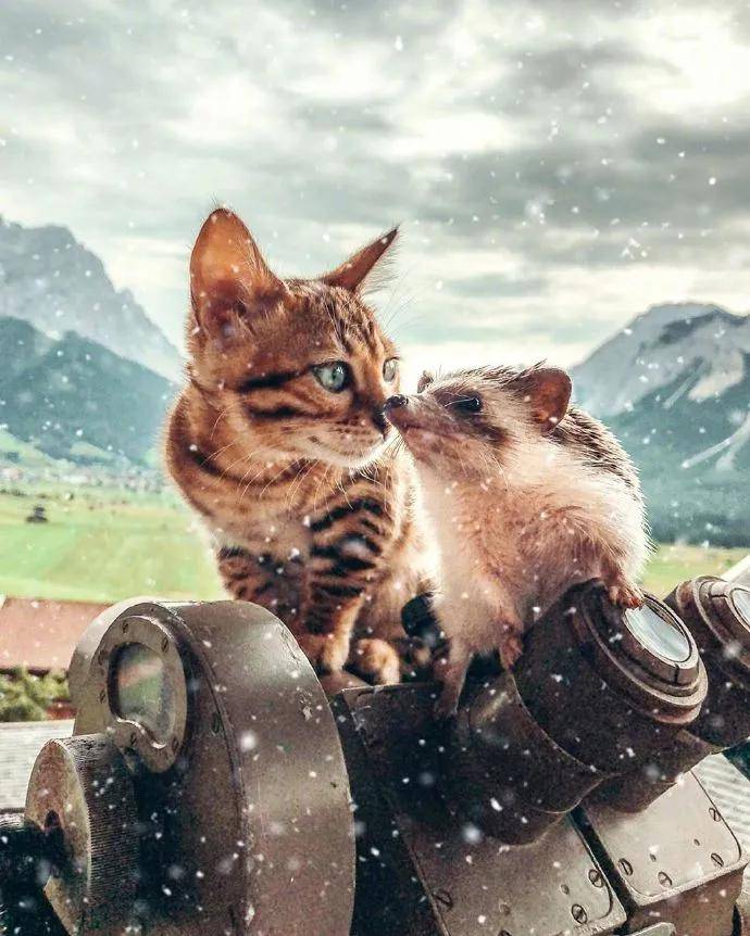 图片[14] - 【xizi被窝段子20200828】别跟往事干杯 往事都快吐了 - xizi