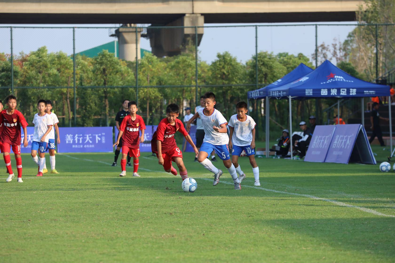 中战茶油612020玛丽莱杯完美落幕山东鲁能足校u12代表队全胜夺冠