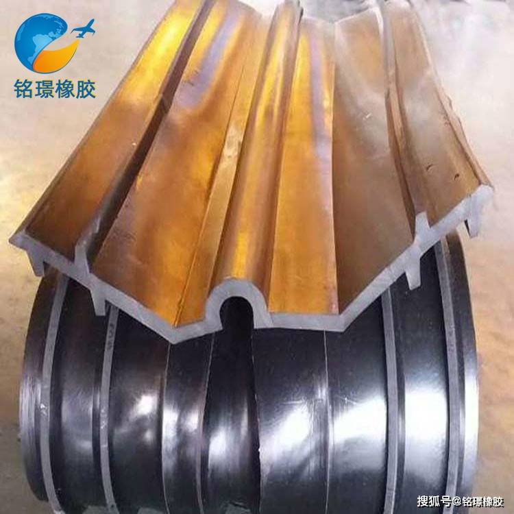 梯形排水式橡胶止水带产品介绍_混凝土