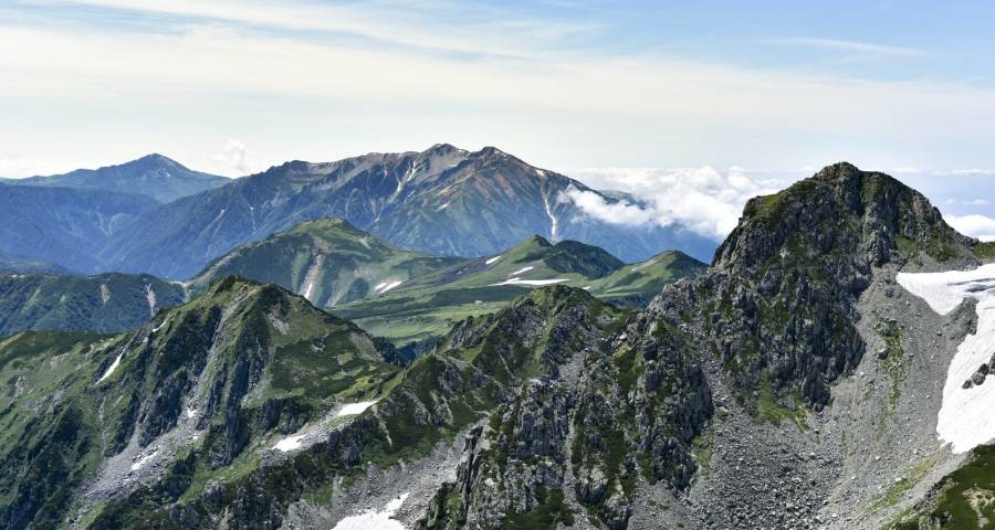 半年报成家电业分水岭，海尔美的格力海信TCL康佳小米分野-家电圈官网