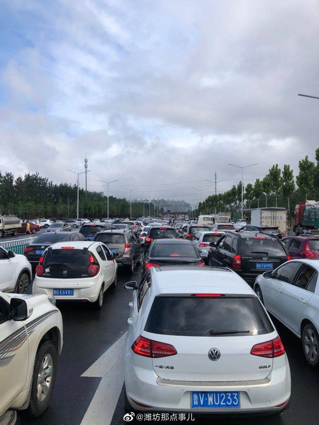 上班族们送娃族们堵车迟到