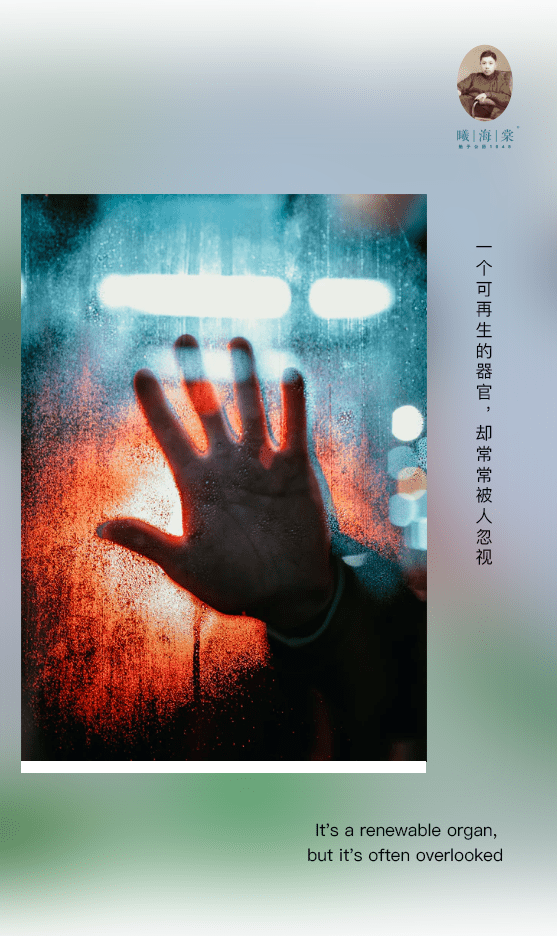 一个可再生的器官却常常被人忽视