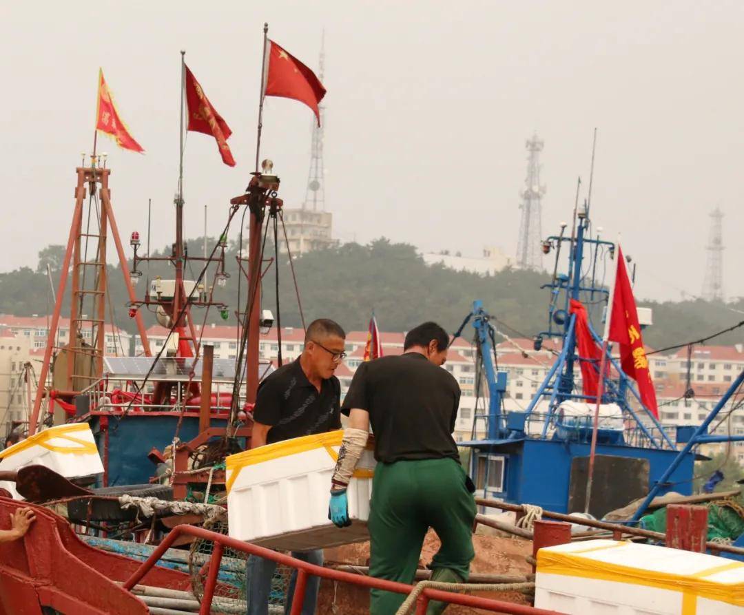 海洋岛渔场是中国重要渔场之一,位于海洋岛渔场中心的海洋岛,是大连市