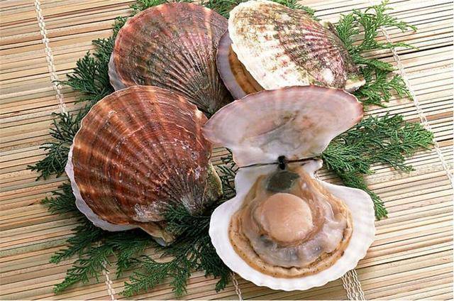 对身体健康功不可没的是扇贝 扇贝还含有丰富维生素和多种矿物质,其中