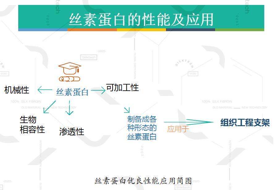 丝素蛋白是一种高分子可溶性结构蛋白,兼具功效蛋白与结构蛋白属性.