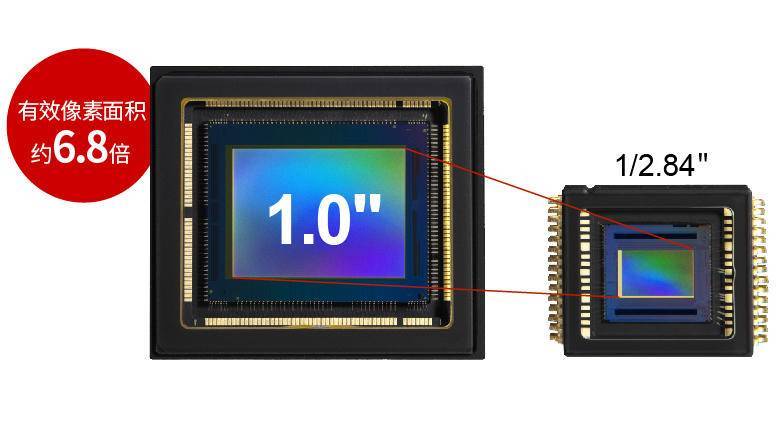 麦田守望者——看XA55记录《成长》的故事