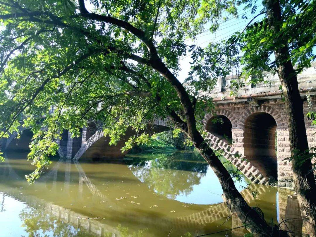 禾丰镇蒋家桥村:产业生态两手抓,三产融合谋新局