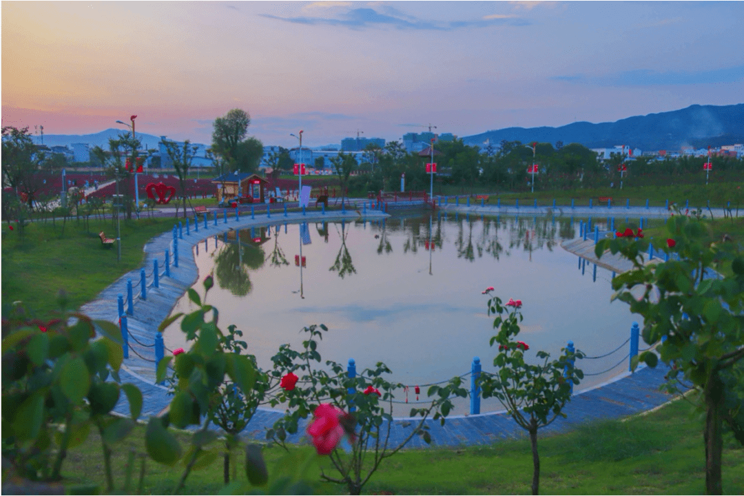 瑞金红都幸福花海绝美网红打卡地约会拍照两不误