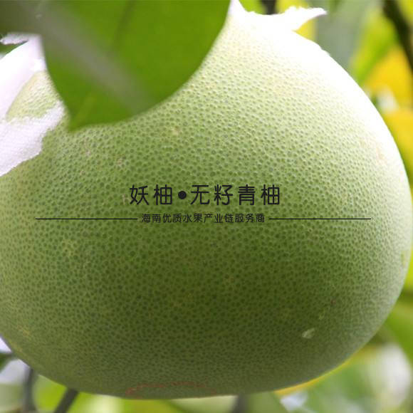 抵不住的"柚"惑,海南妖柚水晶青柚_山口
